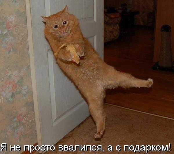 №47, Григорий Благов, 39 лет, Белгород №47, Григорий Благов, 39 лет, Белгород