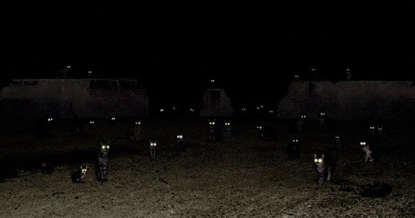 Ігор Сухопаров [E=mc^2  Einstein] | Полтава