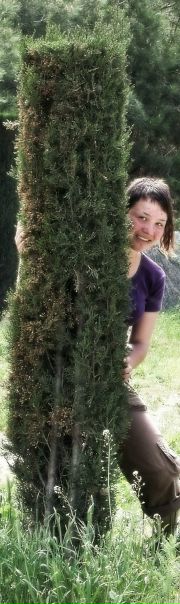 №12, Валерия Шевченко, 31 год №12, Валерия Шевченко, 31 год