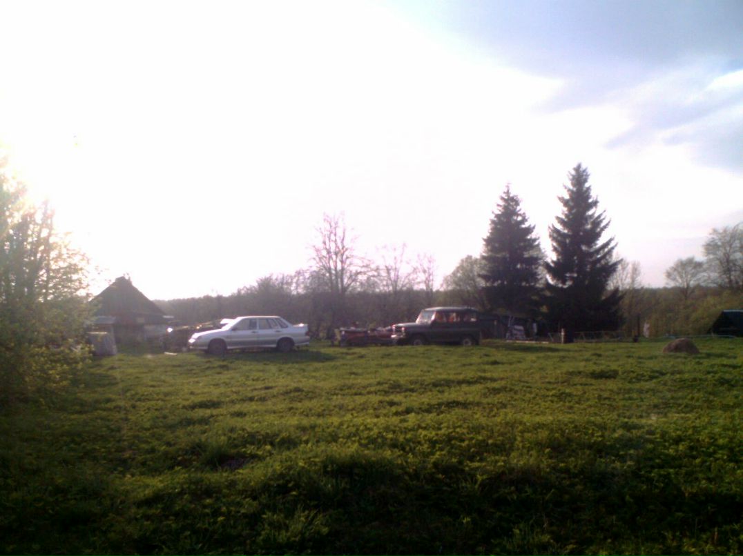 Лесной Щекотальщик | Санкт-Петербург