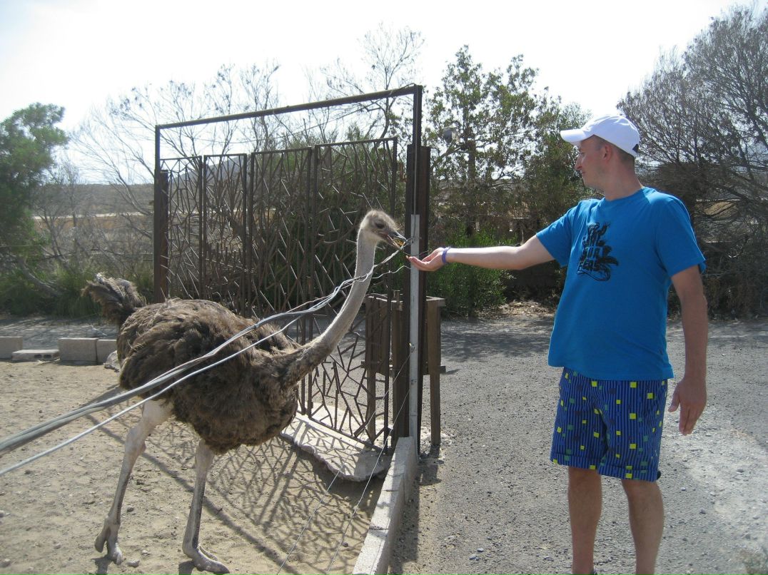 Игорь Людцков | Санкт-Петербург