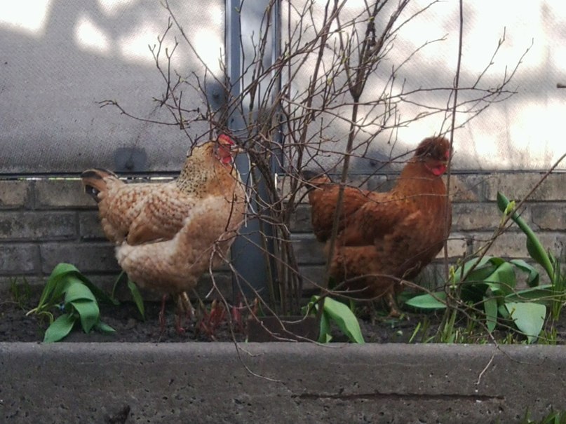 Юля Киндеева | Киев