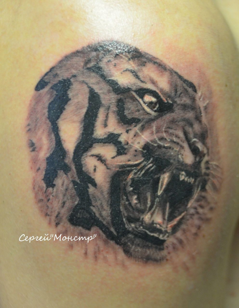 Сергей Поташников Monstr | Железногорск