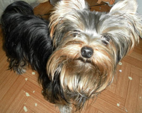 №66, Anastasia Zakharova, Санкт-Петербург №66, Anastasia Zakharova, Санкт-Петербург