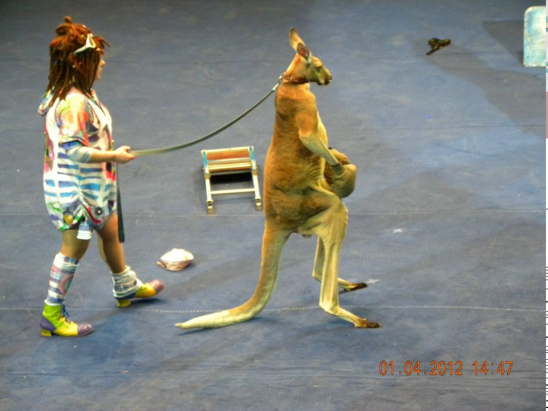 Alla Lemke | Санкт-Петербург