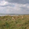 Аватар: Денис Хрен вам