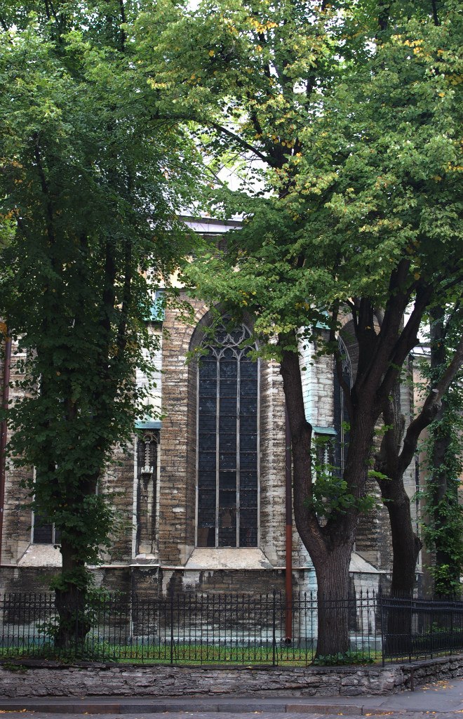 Viorika Rogue | Санкт-Петербург