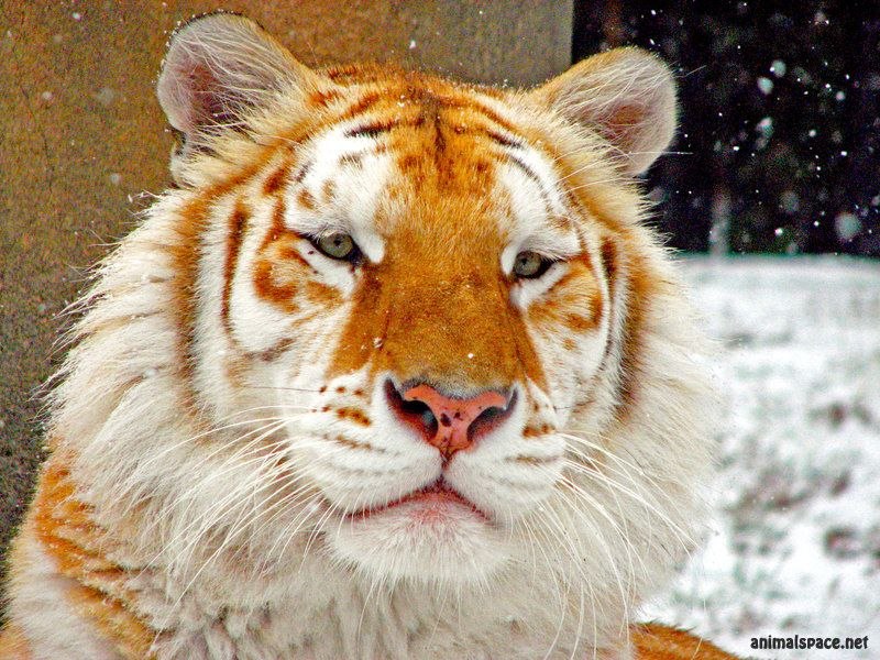 Даниил Попивненко | Москва