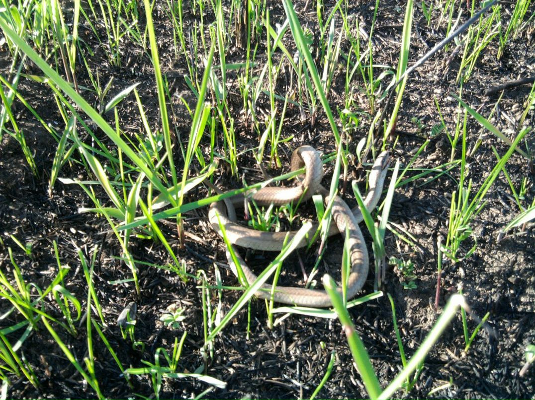 Анна Юрпольская | Краснодар