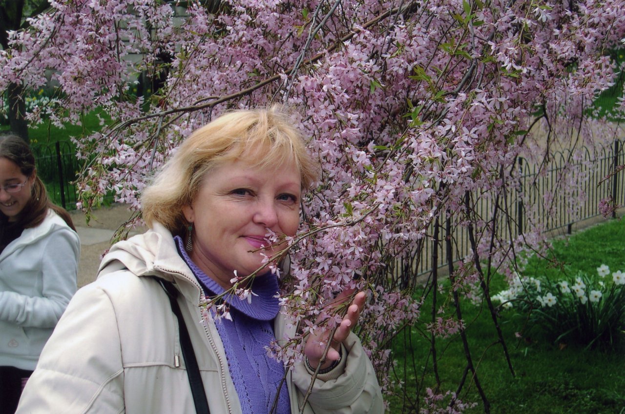 слово картинки валентина фокина подобного имела