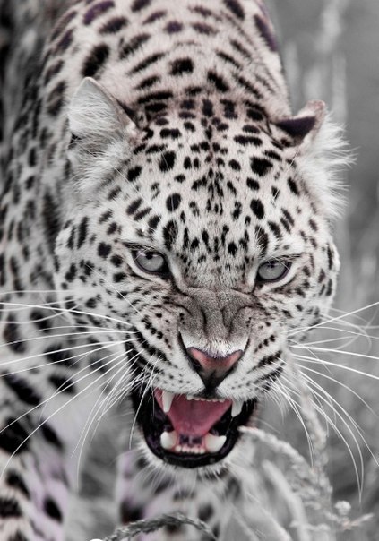 Вячеслав Колосов | Самара