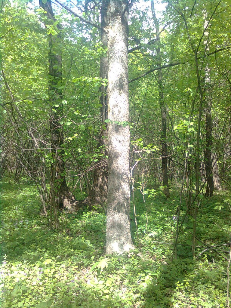 Александр Катрич | Харьков