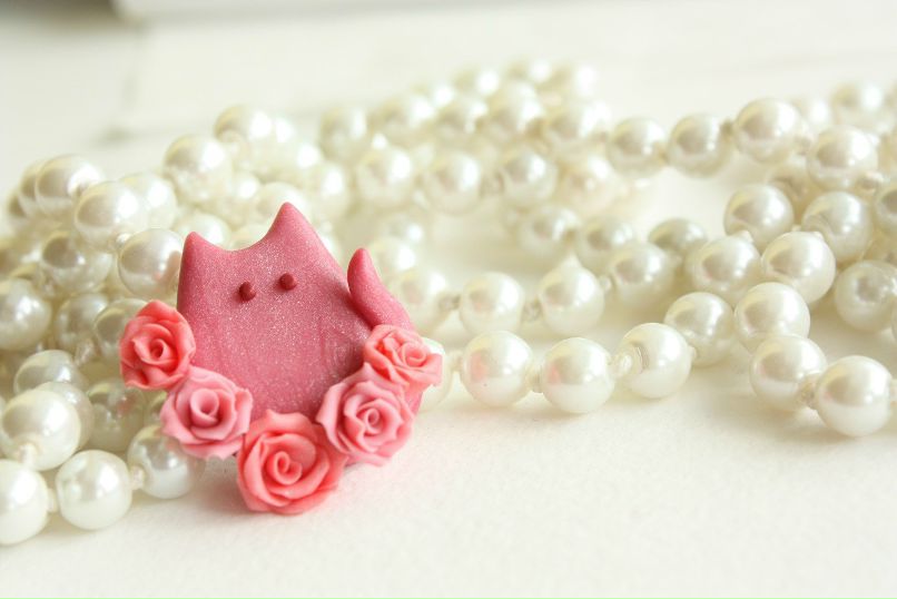 Светлана Ранга | 