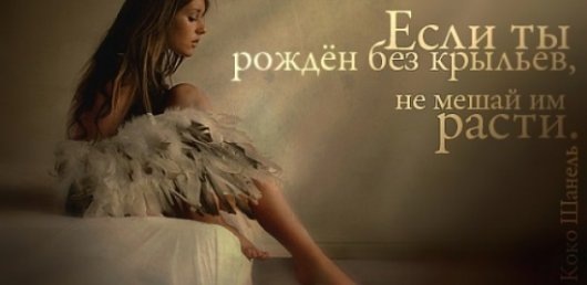№113, Ирина Прохода, Глухов №113, Ирина Прохода, Глухов