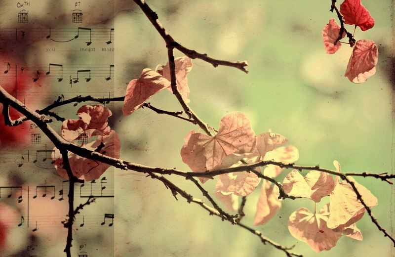 Марьям Кадырова | Екатеринбург