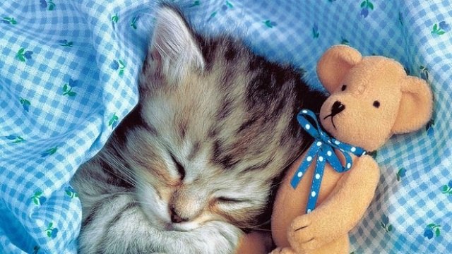 Никита Турченко | Одесса