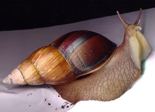 №13, Анастасия Павлова, 36 лет, Новый Уренгой №13, Анастасия Павлова, 36 лет, Новый Уренгой