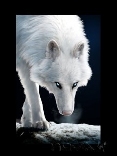 №72, Михаил Ярошинский, 36 лет, Одесса №72, Михаил Ярошинский, 36 лет, Одесса