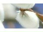 Юлия Коротченко | Киев