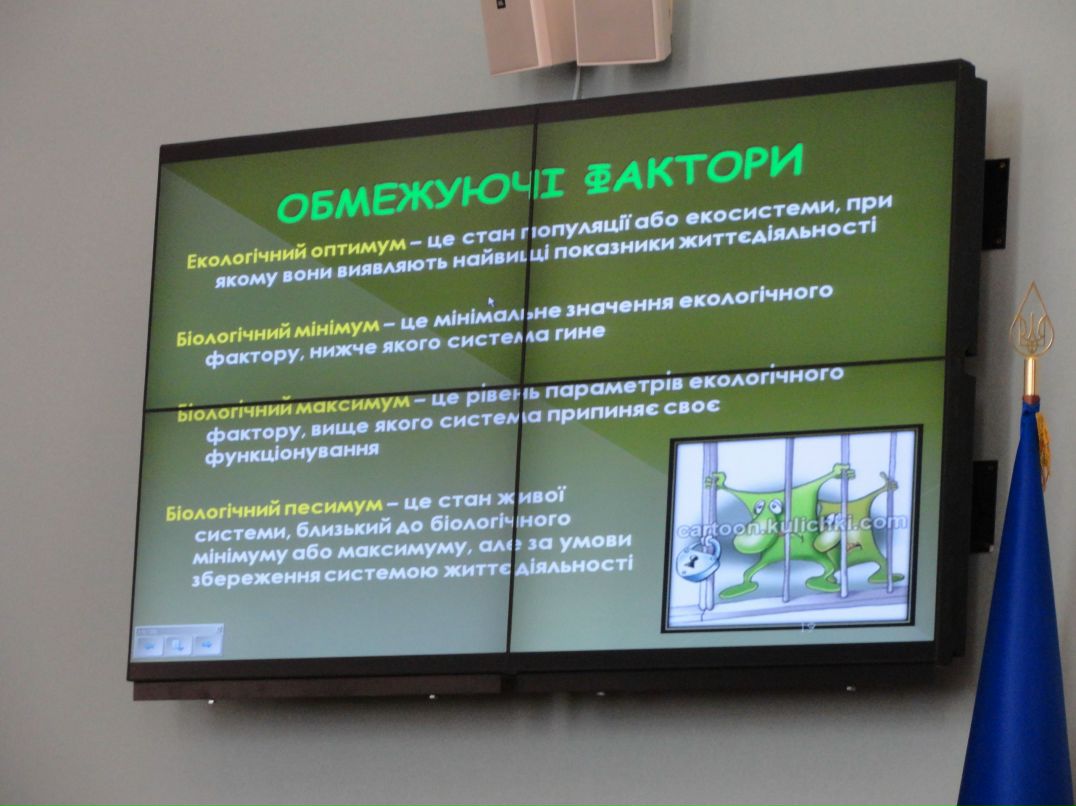 Наталья Дикая | Киев