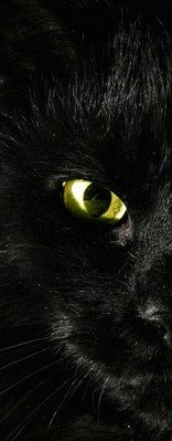 №96, Лиза Велкова, Одесса №96, Лиза Велкова, Одесса