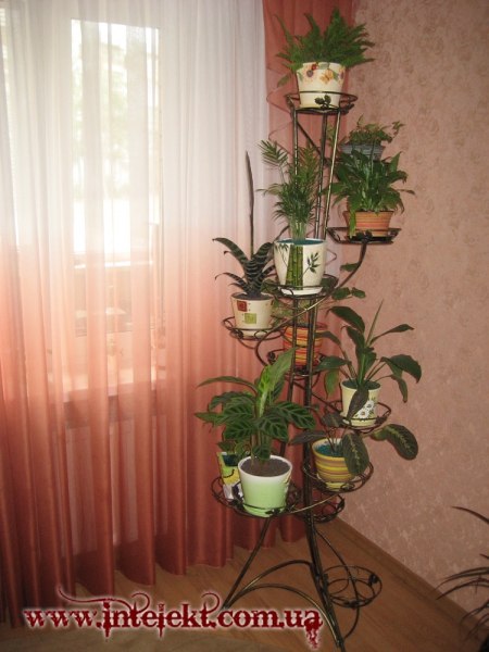 Мария Земцова | Заречный