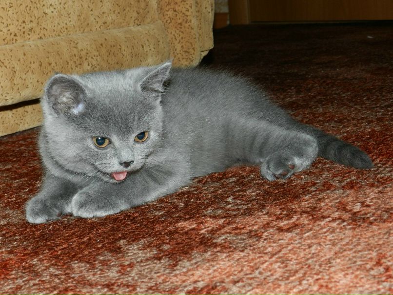 Кристина Асташенкова | Ульяновск