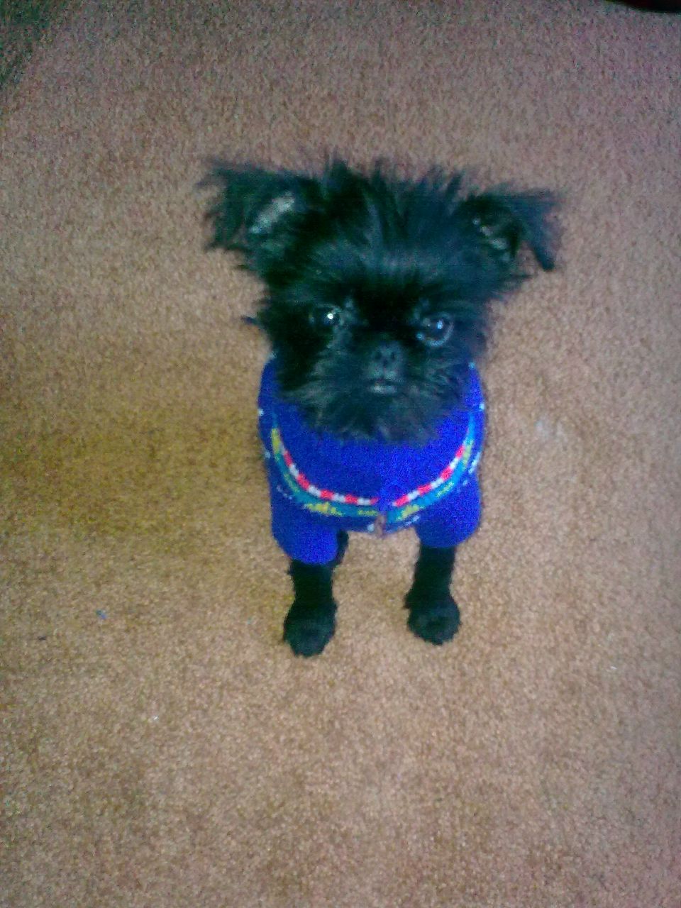 Наташа Попова | Санкт-Петербург