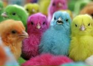 №2, Ольга Петрик, 14.11, Минск, Беларусь