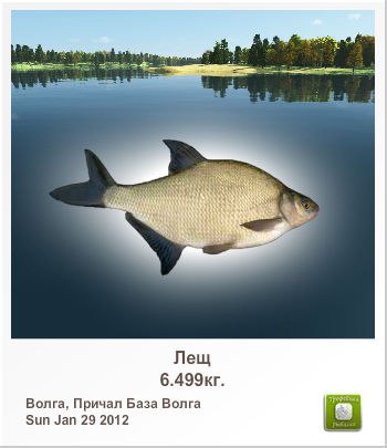 Kolia Koshelinsky | Тернополь