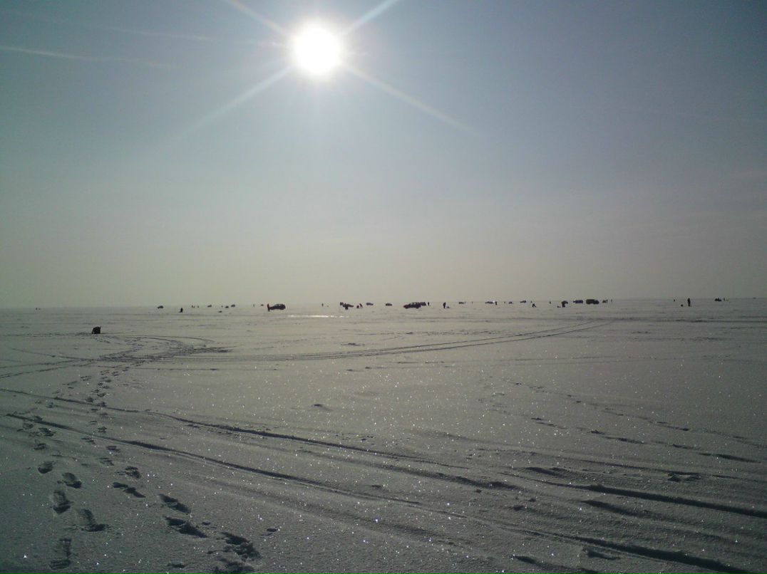 Слава Свинов | Санкт-Петербург