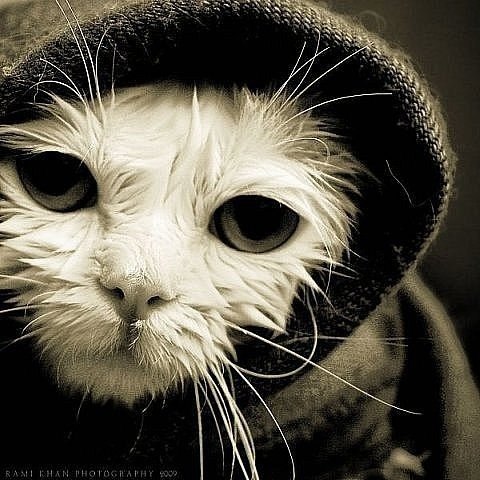 Константин Белов | Ростов-на-Дону