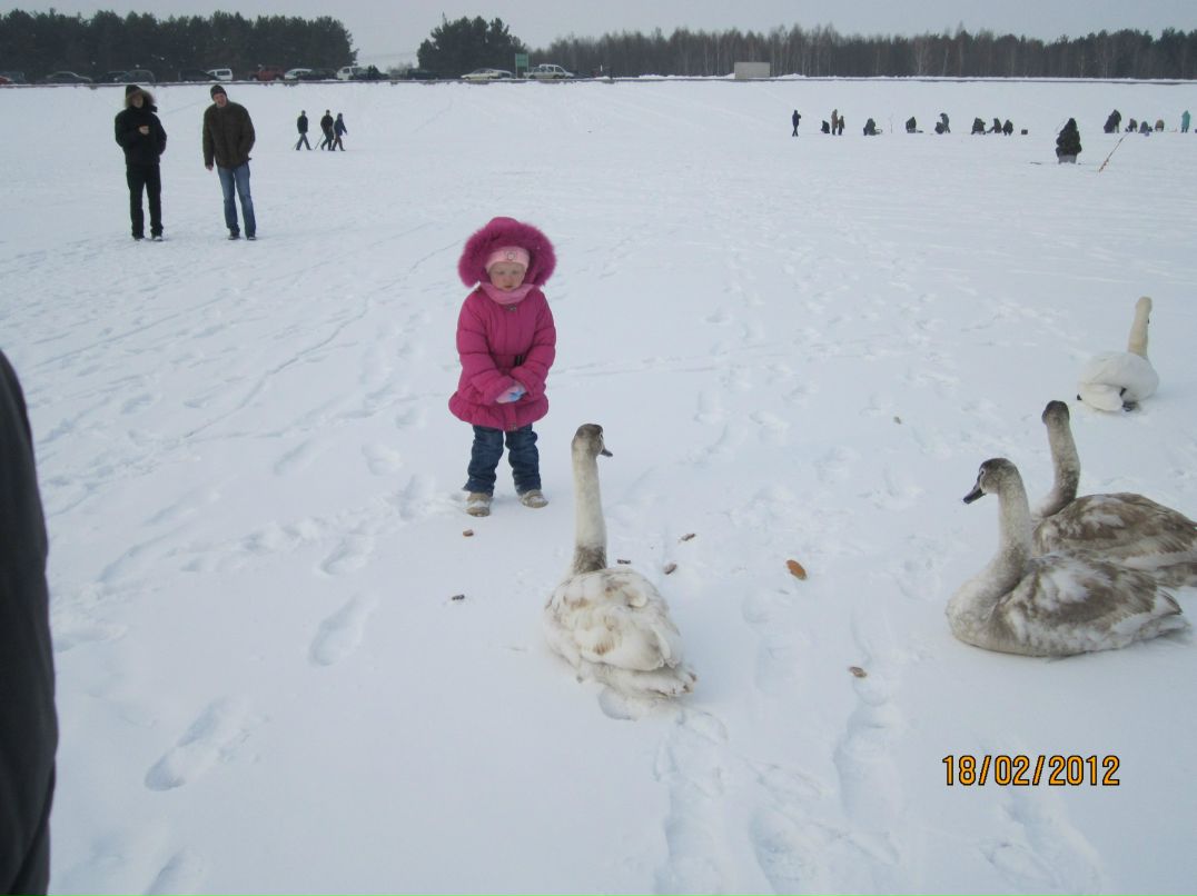 Вита Шевчишена | Нетешин