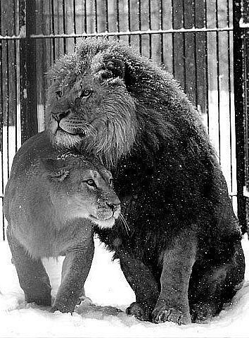 Надюша Кири | Красноярск