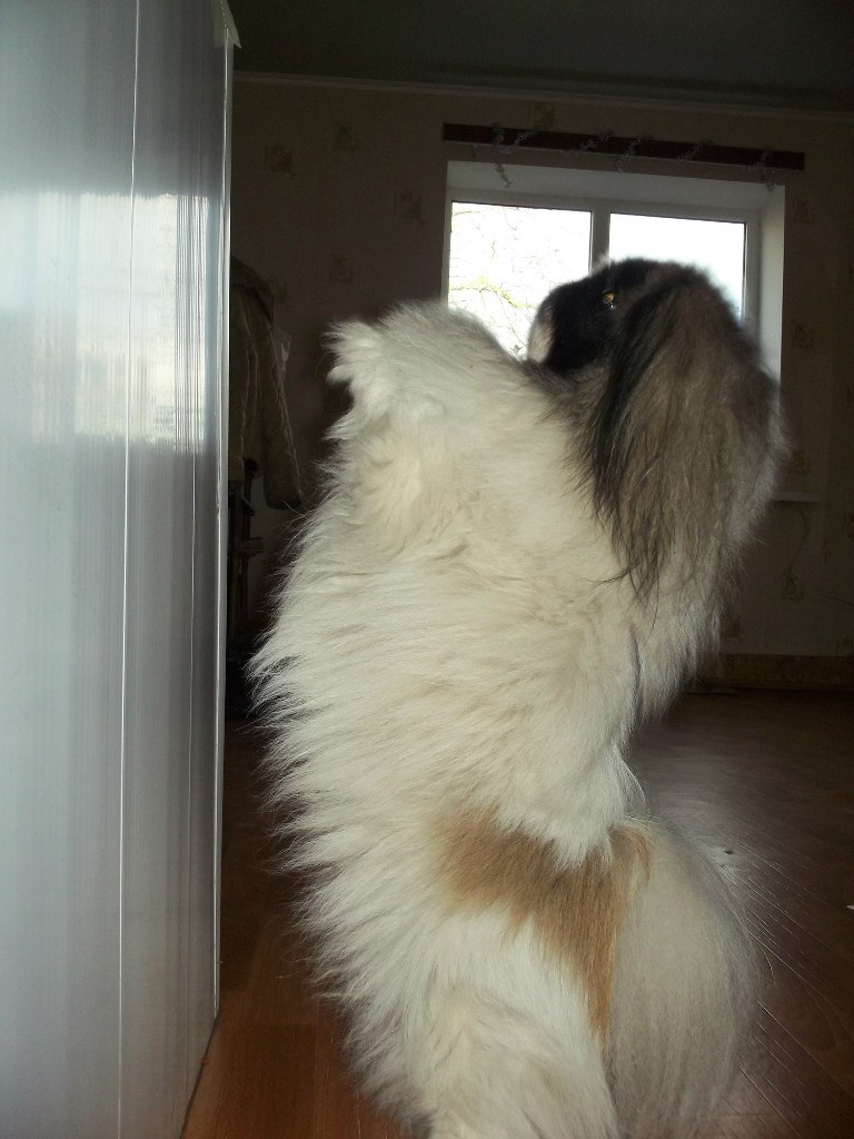 Анна Иванова | Киев