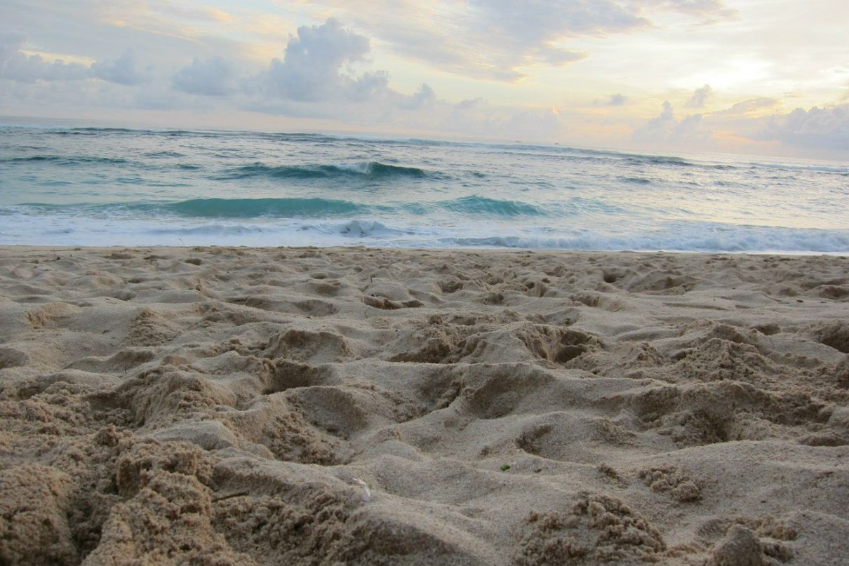 Катя Земскова | Новосибирск