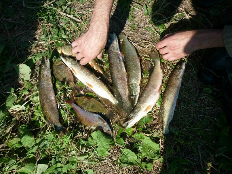Александр Чикарёв | Новосибирск