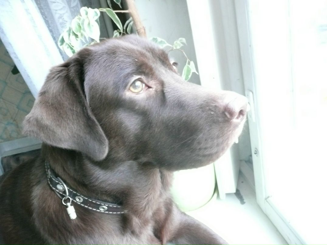 Елена Красоткина | Санкт-Петербург