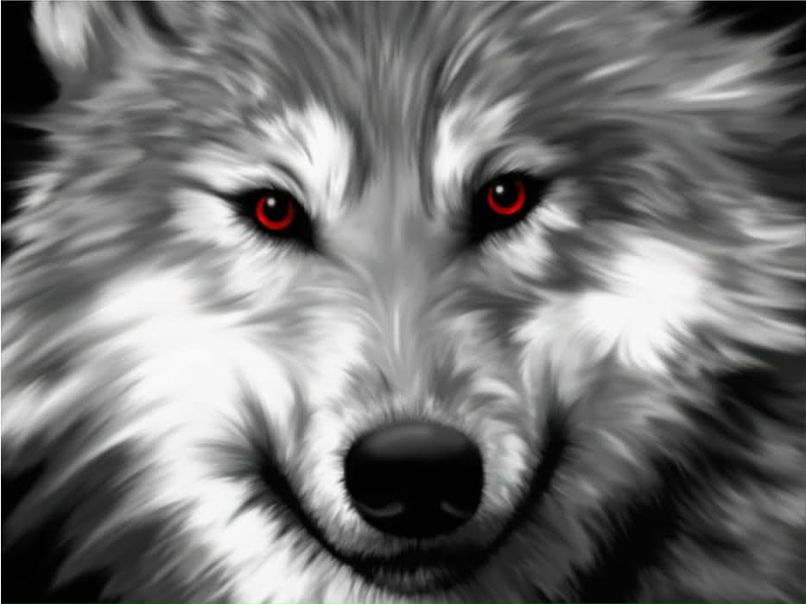 Дмитрий Корнилов | Спасск