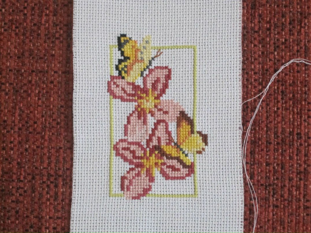 Катерина Дрозд | Минск