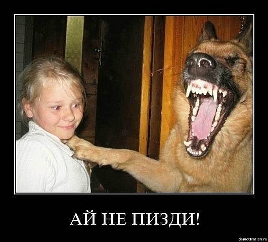 Роман Полосин | Москва