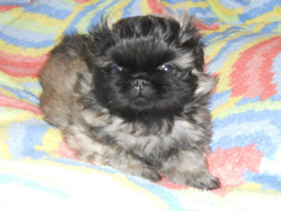 Юрий Иванов | Москва