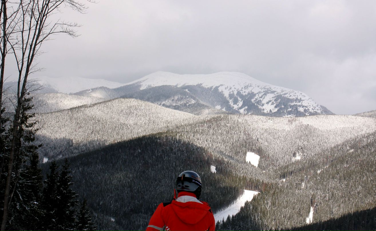 Володимир Мандрик | Городенка