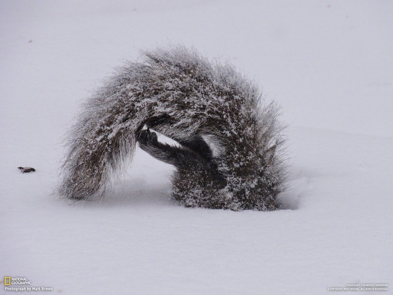 Яна Воскресенская | Киев