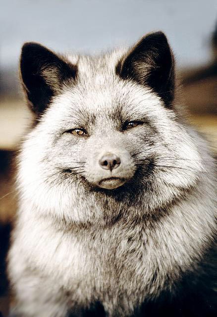 Ирина Лялина | Екатеринбург