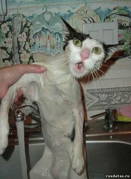 №41, Павел Рева, Днепр (Днепропетровск) №41, Павел Рева, Днепр (Днепропетровск)