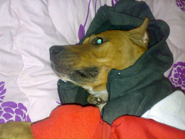 №98, Люда Лаур, Днепр (Днепропетровск) №98, Люда Лаур, Днепр (Днепропетровск)