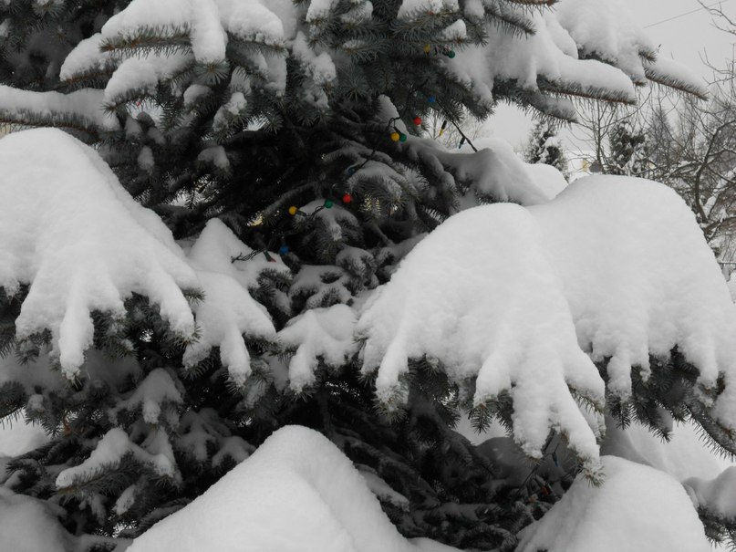 Александра Шаровская | Днепр (Днепропетровск)