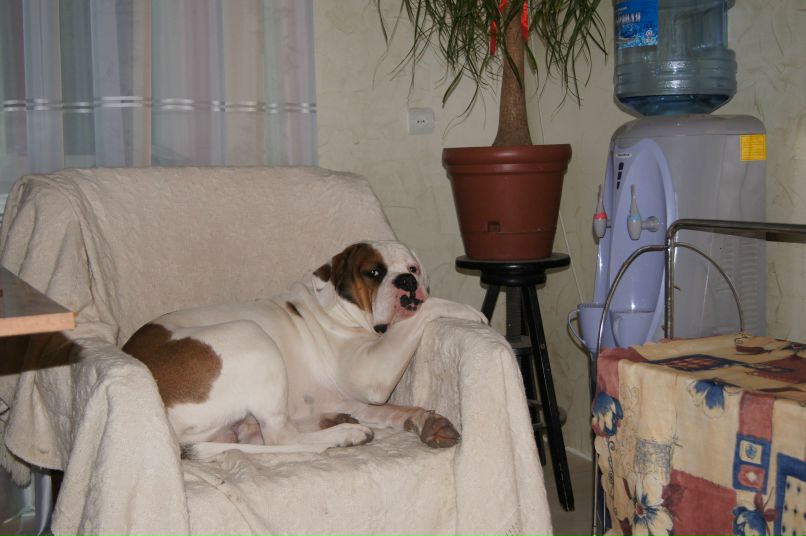 Ольга Исаева | Санкт-Петербург