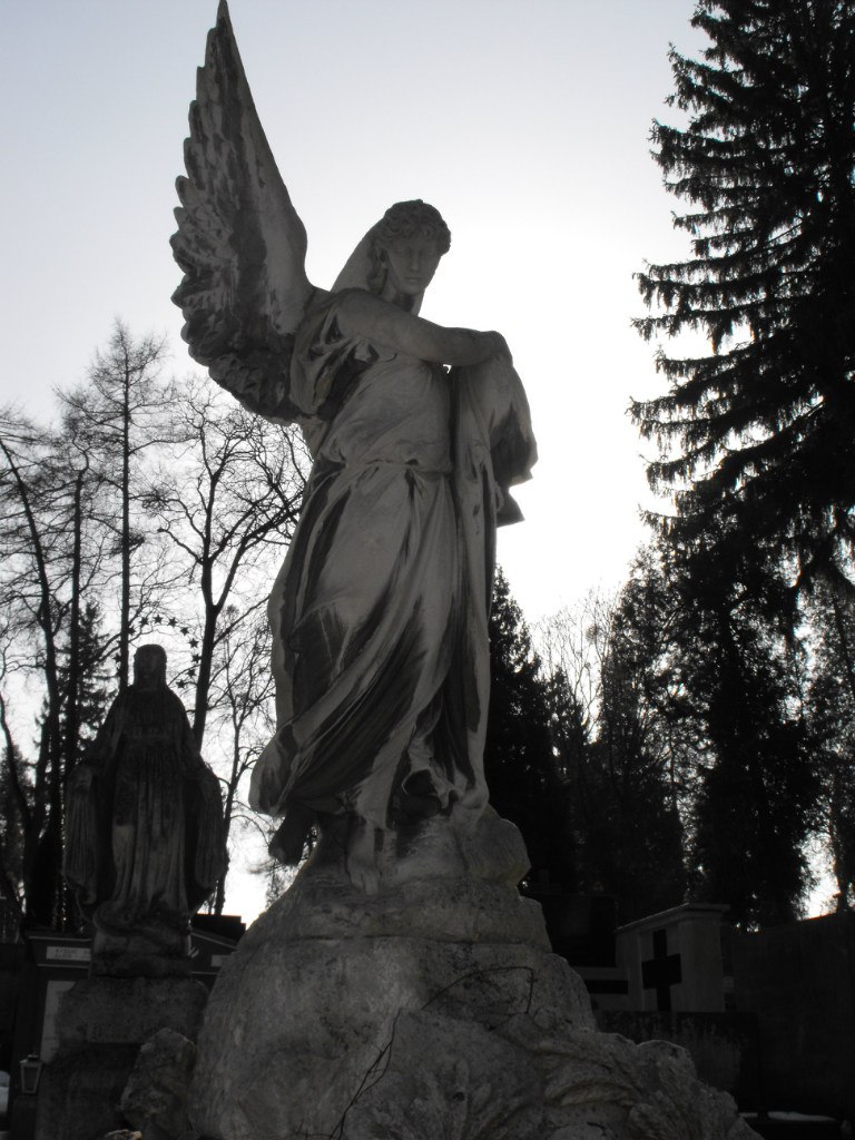 Настенька Лукиянчук 